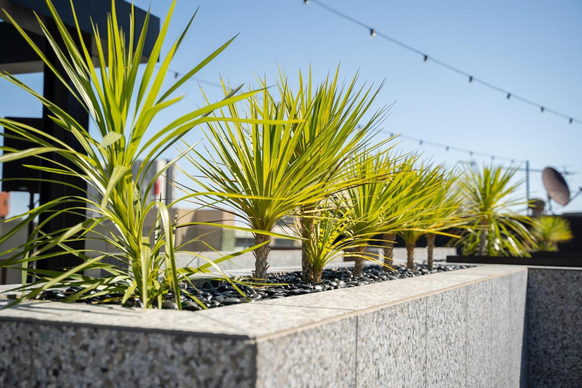 Hotel Adelaide Rockford Zewnętrze zdjęcie
